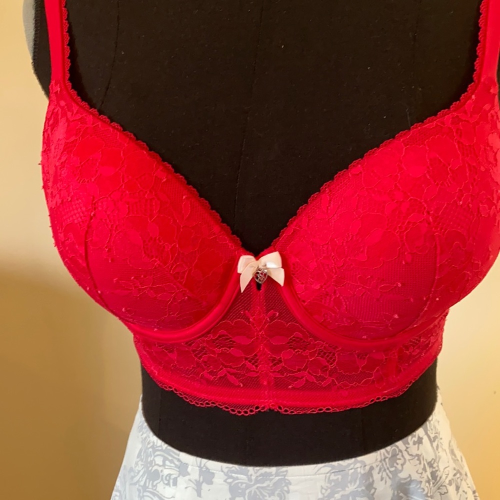 Victoria’s Secret bustier bra